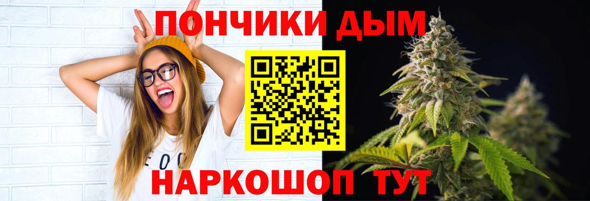 Конопля сатива Верхняя Салда